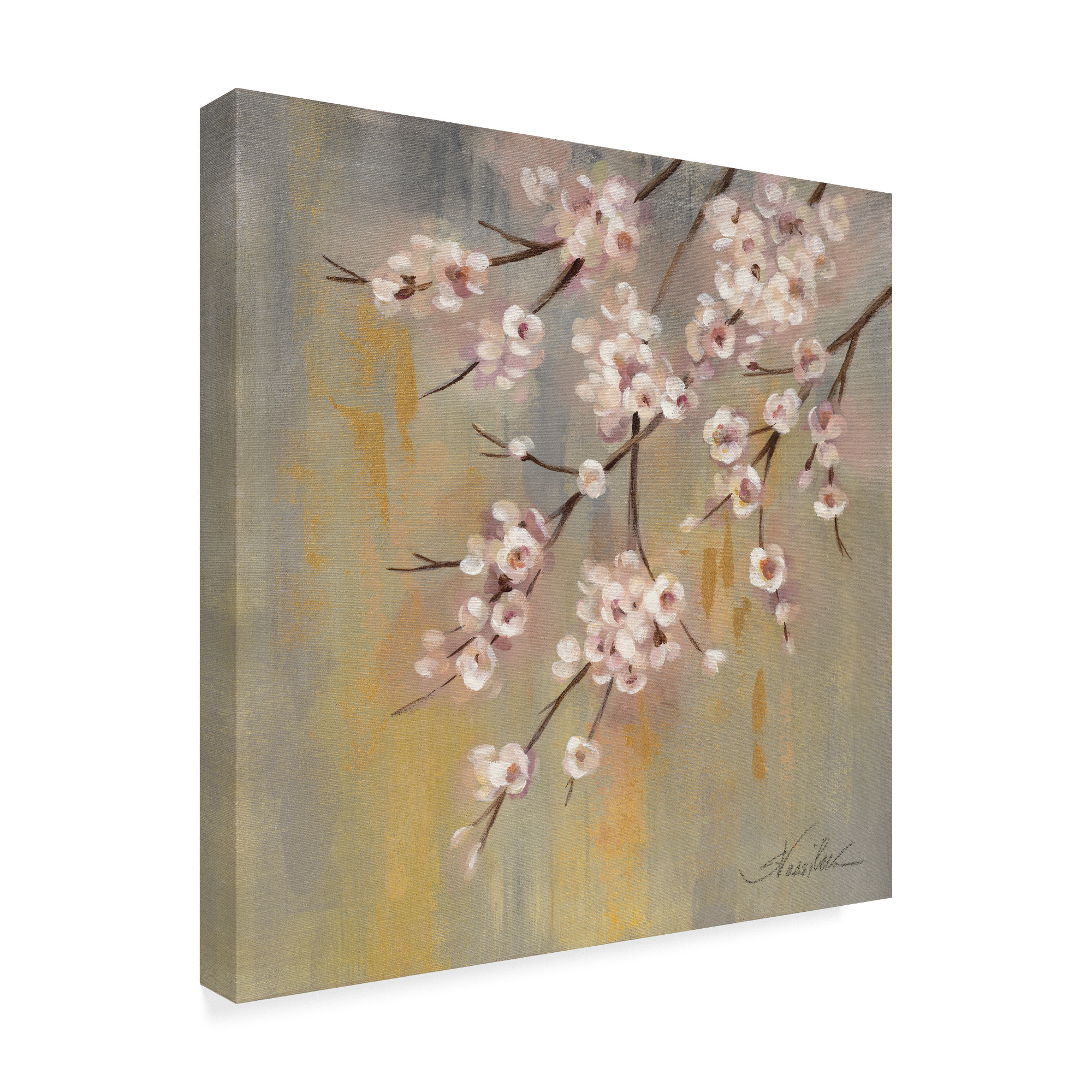 Trademark Fine Art 'Cherry Cloud I' Canvas Art by Silvia Vassileva