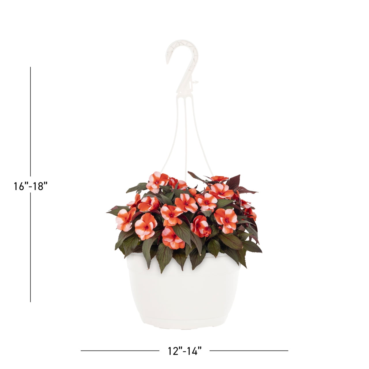 Expert Gardener 1.5gal Orange White New Guinea Impatien Live Annual Plant Hanging Basket Shade
