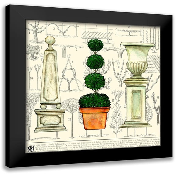 Joyner, Ginny 12x12 Black Modern Framed Museum Art Print Titled - Garden Topiary