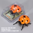 thumbnail image 4 of Realistic Interactive Insect Toy Collection For Educational Play Indoor Outdoor Use, 4 of 8