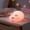 Pig Night Lights, variant on Cute Pig Night Light for ,Squishy Rechargeable Night Light with 3 Brightness Levels,30 Min Timer,Soft Nightlight Lamp,Cute Lamp for Bedroom Decor(Pig Night Lights)