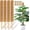 4 Pack 17 inch, variant on 【4 Pack】 Moss Pole, 17 inch Coco Coir Totem Poles Extending to 53 Inches, Plant Support Stick Plant Poles for Indoor Plants Climbing Plants Monstera, Sphagnum, Pothos