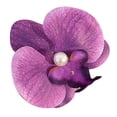 thumbnail image 2 of Skymirror Phalaenopsis Flower Hair Clip Faux Silk Flower Design Hairpin Back Head Hair Claw Lightweight Stylish Accessory, 2 of 8