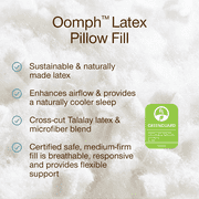 Coop Sleep Goods Extra Oomph Latex Pillow Fill, 1/2 Lb Bag of Cross-Cut Talalay Latex and Microfiber Stuffing, Supportive, Naturally Cooling, Eco-Friendly