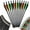 Other, variant on YouLoveIt 12pcs Carbon Crossbow Bolt Set Hunting Carbon Arrows Carbon Crossbow Arrows 20 inches Carbon Crossbow Bolt Arrows for Competition Practice Hunting