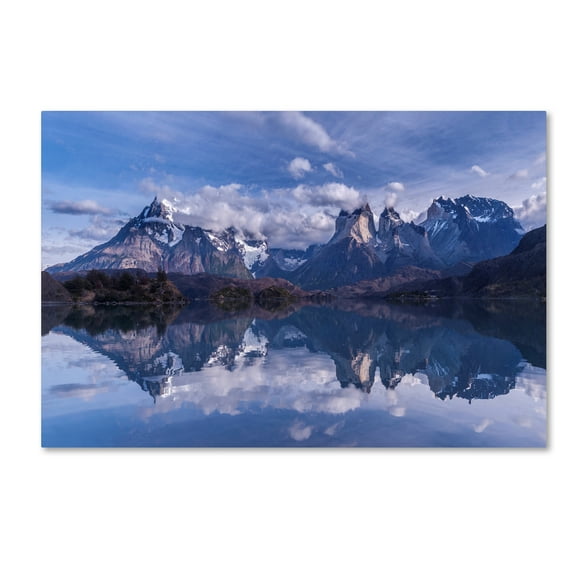 Trademark Fine Art 'Torres Del Paine' Canvas Art by Vladimir Driga