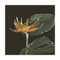 Trademark Fine Art 'Lily on Black I' Canvas Art by Chris Paschke