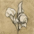 thumbnail image 3 of Emery, Kristin 20x20 Black Modern Framed Museum Art Print Titled - Calla Lily I, 3 of 5
