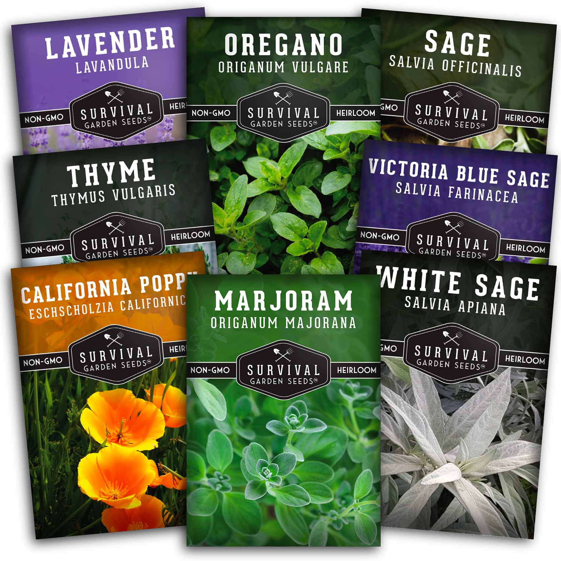 A rescued drought tolerant seed germination with a banner of drought tolerant seed varieties