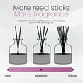 thumbnail image 3 of Brooklyn Fragrance Co. Aroma Diffuser-Peony & Prosecco Scents-100ML, 3 of 6
