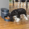 thumbnail image 3 of PetSafe Smart Feed Automatic Dog and Cat Pet Feeder, 3 of 3