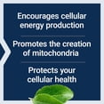 thumbnail image 2 of Life Extension Mitochondrial Energy Optimizer with PQQ, 180 Vegetarian Capsules, 2 of 5