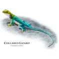 thumbnail image 3 of CafePress - Collared Lizard Mug - 11 oz Ceramic Mug - Novelty Coffee Tea Cup, 3 of 6