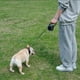 thumbnail image 5 of Correa de perro retráctil - Correa de perro grande Correa de perro resistente retráctil MFZFUKR CPB-US-CJZ718-5, 5 of 5