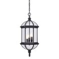 thumbnail image 1 of Three Light Outdoor Hanging Lantern, 1 of 1