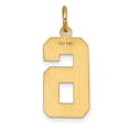 thumbnail image 3 of 14k Yellow Gold Diamond Cut Texture Finish Large Size Number 6 Charm Pendant, 3 of 4