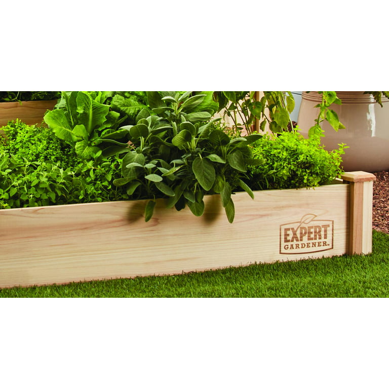 ECOgardener Raised Bed Planter 4x4 Outdoor Wooden Raised Garden Bed Kit for Vegetables Fruit Herbs Flowers and Plants Tiered Design