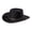 Black, variant on Stetson Men's Hawk Crushable Felt Western Fashion Hat Black Small