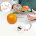 thumbnail image 3 of 2 Sets Scientific Experiment Fruit Battery Student DIY Fruit Battery School Student Experiment, 3 of 8