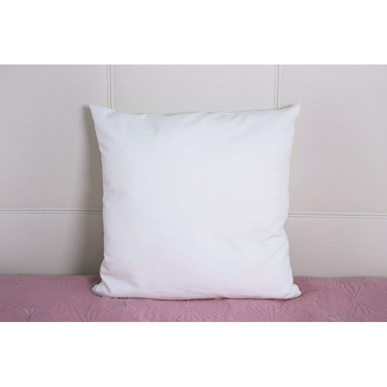 Ichrysania 18 x 18 Pillow Inserts Set of 2 with 100% Cotton Cover Couch  Pillows