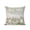 Sage green, variant on Outdoor Pillows Waterproof, Sage Green Pumpkins Fall Bedding Throw Pillows with Insert for Couch Sofa Bed, Thanksgiving Weeping Botanical Rustic 18x18 Inch Pillowcases Patio Pillow Set of 2
