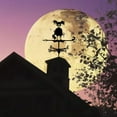 thumbnail image 4 of Direction Vane Decoration Metal Wind Halloween Weather Indicator Scary Garden Home Decor, 4 of 9