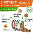 thumbnail image 3 of STRELLALAB Probiotics Chews for Dogs & Digestive Enzymes + Digestion & Gut Health Treats, Probiotics for dogs, Fiber Supplement, Anti Diarrhea, Constipation, Upset Stomach&Gas Relief,Canine Prebiotic, 3 of 6