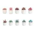 thumbnail image 1 of maskred 4pack/lot Exquisite Crafted Succulent Plant With Good Hand Feeling - Realistic Appearance Non-toxic ES1438-15, 1 of 6