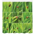 thumbnail image 3 of Ambesonne Nature Shower Curtain, Ladybug over Fresh Grass, 69"Wx84"L, Green Red, 3 of 5
