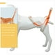 thumbnail image 2 of Arnés de rehabilitación para perros, arnés para patas traseras de perro, arnés para exteriores para perros, arnés para patas traseras de perro, 2 of 8