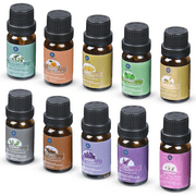 10 Pack Essential Oils 10 ml for Aroma Diffuser or Humidifier Natural Scent Floral Gift Set