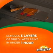 CitriStrip Paint & Varnish Stripper Aerosol, 17 oz.