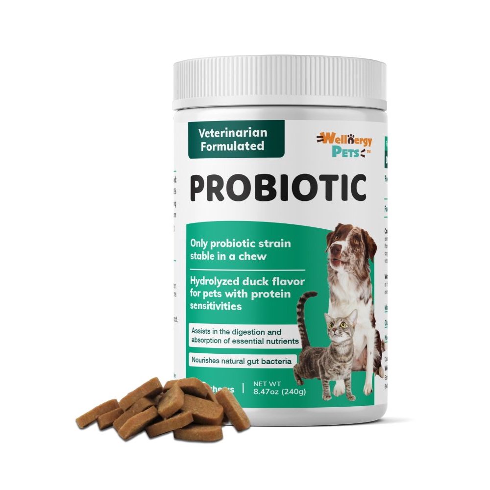 Prebiotics for Dogs & Cats Digestive Support. Relieves Diarrhea