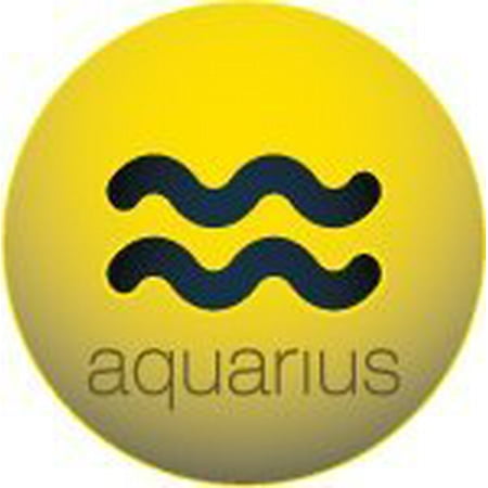 Happy Balls Aquarius Sign Antenna Topper