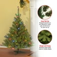 thumbnail image 4 of National Tree Company Pre-Lit Artificial Medium Christmas Tree, Green, Kincaid Spruce, Multicolor Lights, Includes Stand, 4 Feet, 4 of 5
