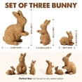 thumbnail image 3 of Ayieyill 3 Pcs Easter Rabbit Decor, Easter Rattan Bunny Resin Ornaments for Home Courtyard Tabletop to Enhance The Easter Atmosphere, 3 of 8