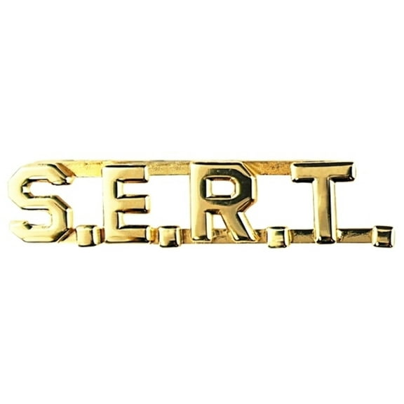 Hero's Pride S.E.R.T. Die Struck Letters, Gold Finish, 3/8" High, Pair with Clutch Backs