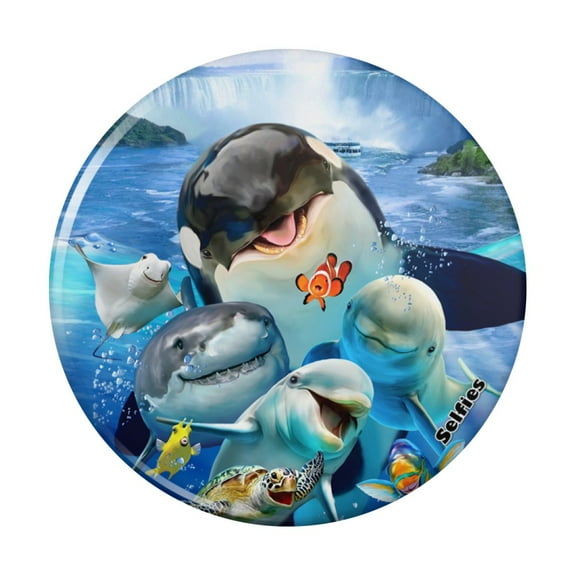 Niagara Falls New York Canada Selfie Orca Shark Dolphin Kitchen Refrigerator Locker Button Magnet