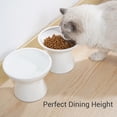 thumbnail image 4 of Cuenco de comida para gatos CEEFU 2, extra ancho, de cerámica levantada, blanco, 4 of 7