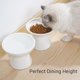 thumbnail image 4 of Cuenco de comida para gatos CEEFU 2, extra ancho, de cerámica levantada, blanco, 4 of 7