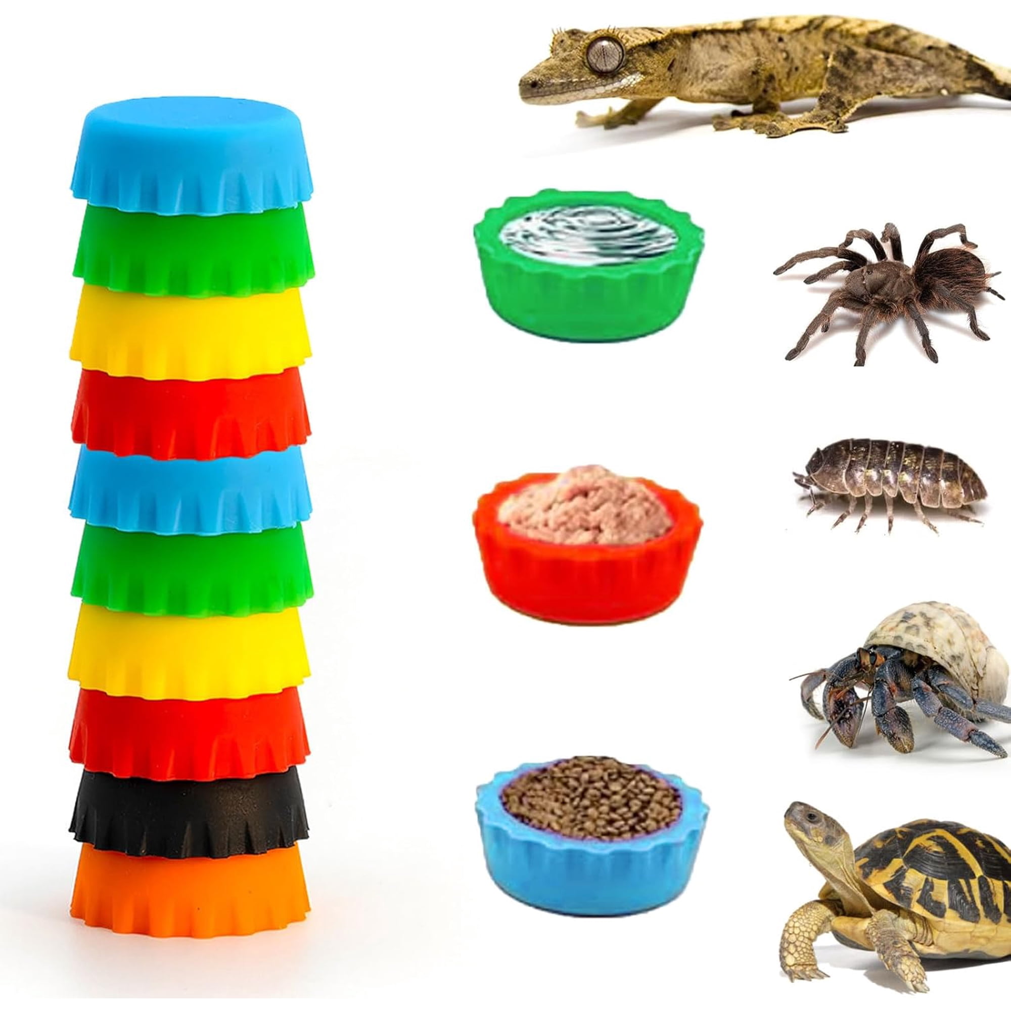 10 Pack Crested Gecko Food and Water Feeding Cups, Reusable Reptile Feeder Dish Tank Accessories for Hermit Crab, Small Lizard, Tarantula, Isopods, Tortoise Colorful
