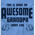thumbnail image 2 of What An Awesome Grandpa Looks Like Men's Graphic T Shirt Tees Brisco Brands M, 2 of 6