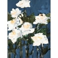 thumbnail image 2 of Slivka, Jane 15x18 Black Ornate Wood Framed with Double Matting Museum Art Print Titled - White Roses On Blue, 2 of 4