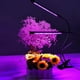thumbnail image 3 of Mejore el crecimiento de las flores con iluminación LED uniforme Lámpara de cultivo dual giratoria de 360° para plantas de interior, 3 of 8