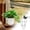 B1/15.74"×11.81"/1 Pc, variant on 7.8 Inch Green Coated Steel Plant Support Stakes,Flower Support Rings for Single Stem Plants,Roses,Tomatoes,Sunflowers,Reusable Plant Stakes to Prevent Stem Bending,Garden & Potted Plant Supports