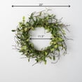 thumbnail image 3 of Sullivans Artificial Ruscus Leafy Twig Wreath 20"H Green, 3 of 3