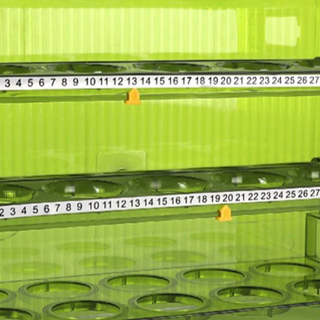 Soporte para huevos Caja de almacenamiento de huevos ajustable Anticolisión de plástico estable para uso doméstico Ndcxsfigh Libre de BPA