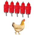 thumbnail image 4 of Boquillas de pollo Tee Fittings - Kit de bebederos automáticos para aves de corral, paquete de 10 Afortunado Sencillez, 4 of 5