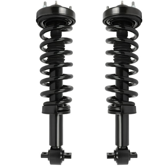 cciyu 2pcs Front Pair Complete Strut shock Coil Spring Assembly Compatible for 2015 2016 2017 for Ford for F-150 for 173031L 173031R Quick Struts Assembly