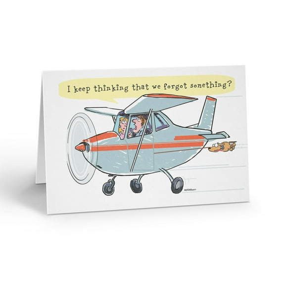 Stonehouse Collection - Funny Airplane Birthday Cards - Belated Pilot Birthday C